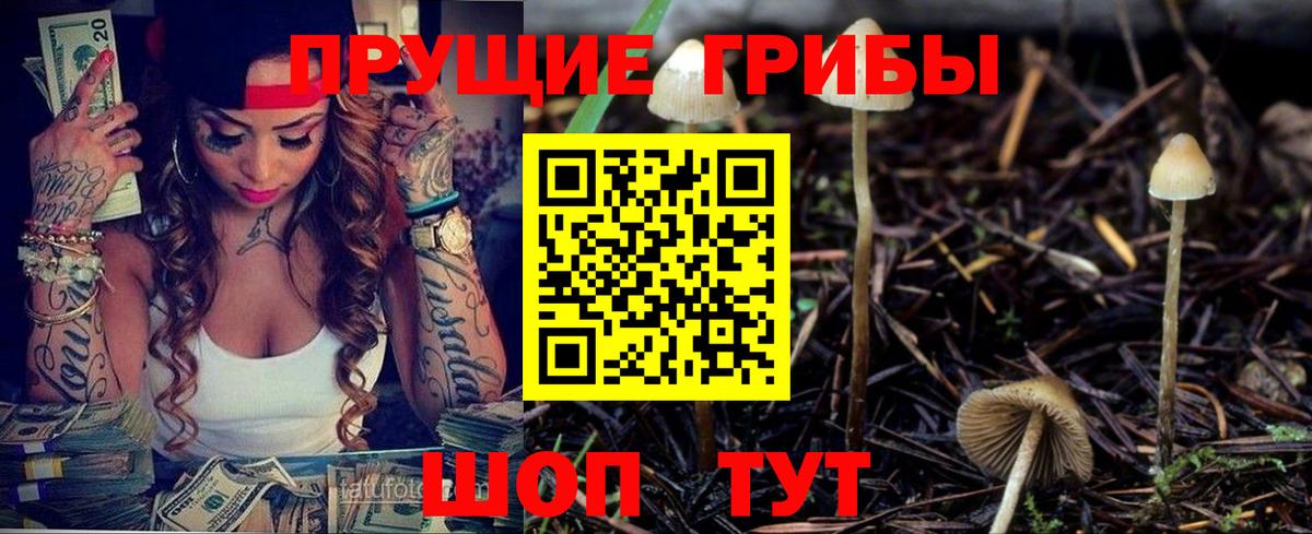 Галлюциногенные грибы Psilocybine cubensis  Вход с VPN  Псилоцибиновые грибы Cubensis  Красногорск 